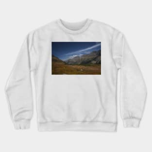 850_6481 Crewneck Sweatshirt